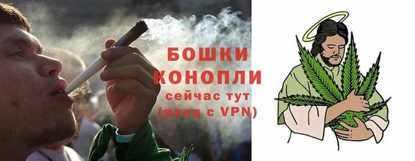 прущие крисы Карпинск