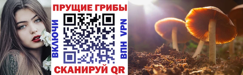 Галлюциногенные грибы MAGIC MUSHROOMS  Купить  Белокуриха 