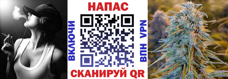 Купить где  Белокуриха  Шишки марихуана Amnesia 